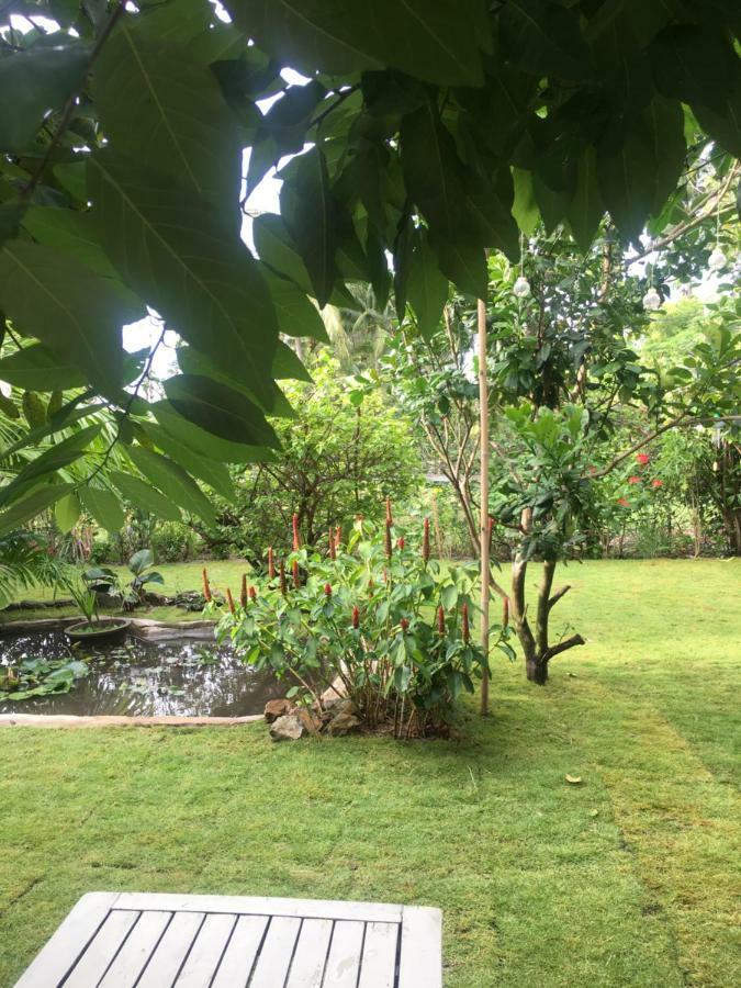 Le Jardin D'Alice Hotel Phan Thiet Luaran gambar